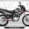 PLN RACE - HONDA XR150 - Imagen 4