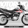ONA TYPE - HONDA XR150 - Imagen 4