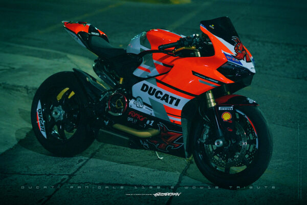WDW18 TRIBUTE - DUCATI PANIGALE 1399 11-14