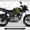 SPEED TEAM MONSTER - BAJAJ PULSAR NS 125/135