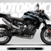 K-TYPE - KTM DUKE 790 / 890 - Imagen 4