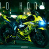 MAD HORNET - KAWASAKI ZX6-R NINJA 06-08