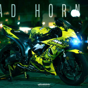 MAD HORNET - KAWASAKI ZX6-R NINJA 06-08