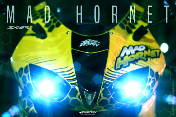MAD HORNET - KAWASAKI ZX6-R NINJA 06-08 - Imagen 4