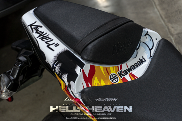 HELL AND HEAVEN - KAWASAKI ZX10-R NINJA 11-15 - Imagen 6