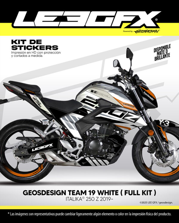 GEOSDESIGN TEAM 19 - ITALIKA 250 Z 2019-